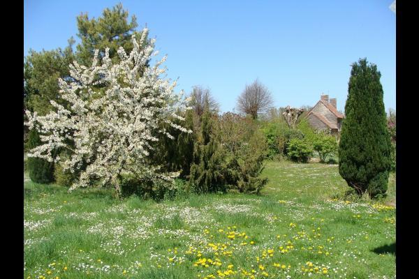 La Cerisaie Villa Ferreux Bagian luar foto